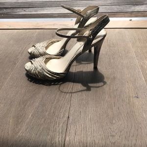 Ralph Lauren SnakeSkin